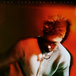 国产+另类+乱片
